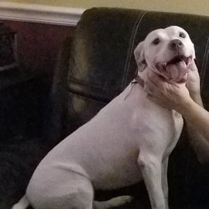 Meet your Posher, Rita